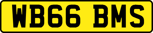 WB66BMS