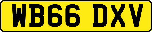 WB66DXV