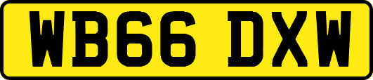 WB66DXW