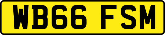 WB66FSM