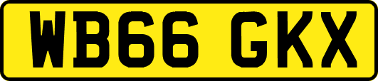 WB66GKX