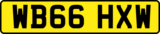 WB66HXW