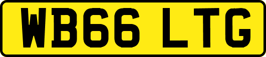 WB66LTG