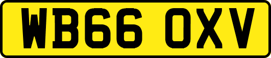 WB66OXV