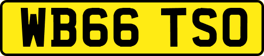 WB66TSO