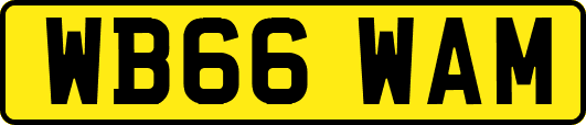 WB66WAM