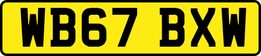 WB67BXW