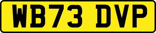 WB73DVP