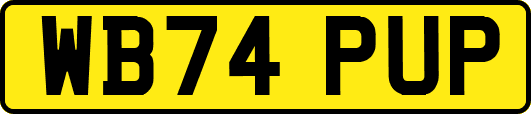 WB74PUP