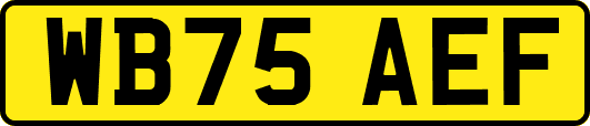 WB75AEF