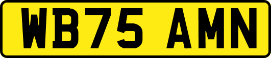 WB75AMN