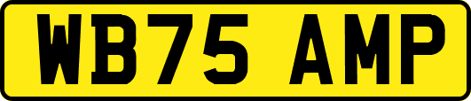 WB75AMP