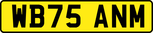 WB75ANM