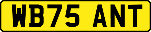 WB75ANT