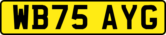 WB75AYG