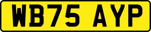 WB75AYP