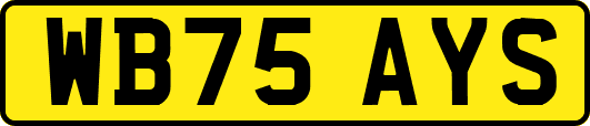 WB75AYS