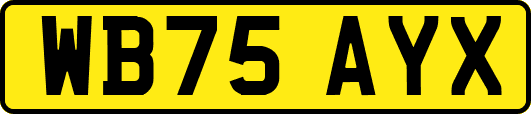 WB75AYX
