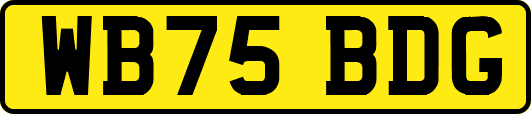 WB75BDG