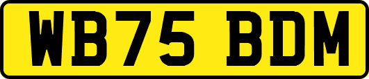 WB75BDM