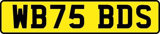 WB75BDS
