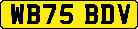 WB75BDV