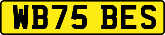 WB75BES