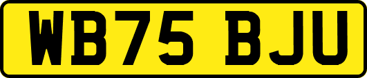 WB75BJU