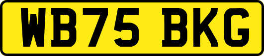 WB75BKG