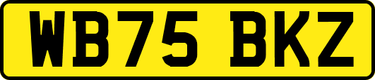 WB75BKZ