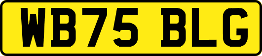 WB75BLG