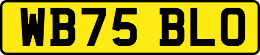 WB75BLO