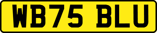 WB75BLU