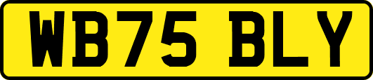 WB75BLY