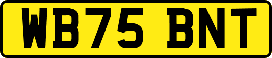WB75BNT