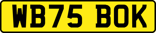 WB75BOK