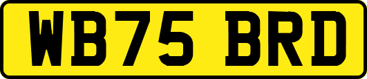 WB75BRD