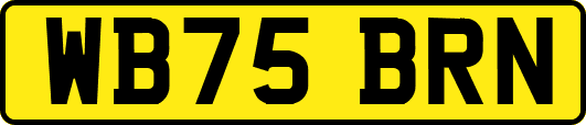 WB75BRN