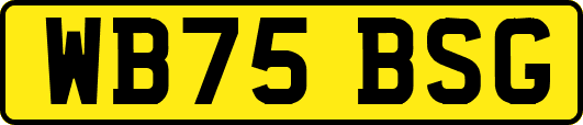 WB75BSG