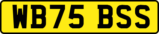 WB75BSS