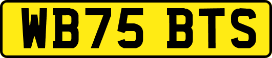 WB75BTS