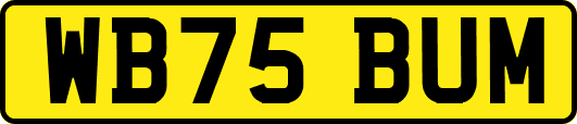 WB75BUM