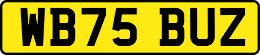 WB75BUZ