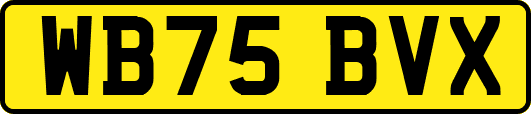 WB75BVX