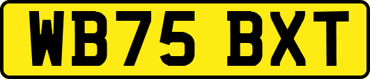 WB75BXT