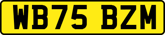 WB75BZM