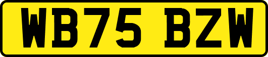 WB75BZW