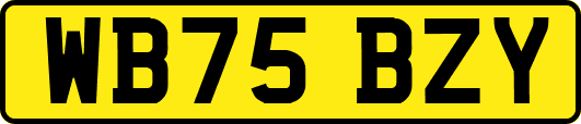 WB75BZY