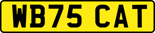 WB75CAT