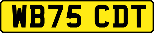 WB75CDT